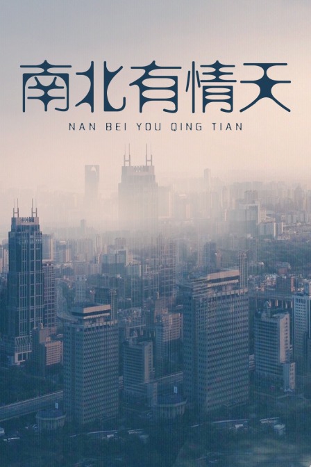 南北有情天封面图