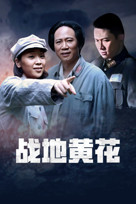 战地黄花封面图