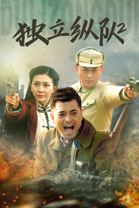 独立纵队2封面图
