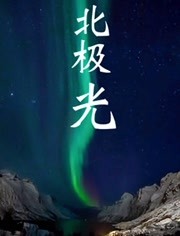 北极光封面图