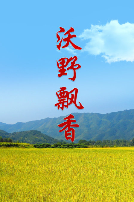沃野飘香封面图