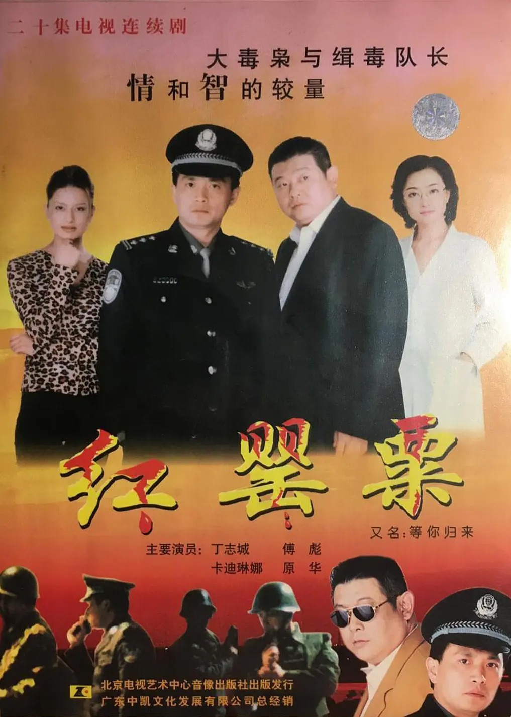 等你归来封面图