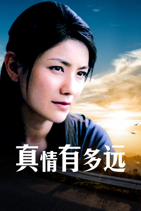 真情有多远封面图