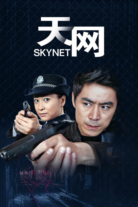 天网封面图