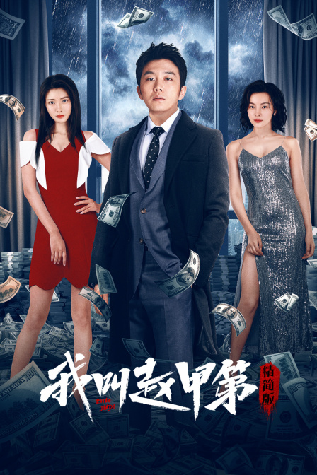 我叫赵甲第精简版封面图