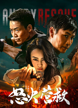 怒火营救封面图