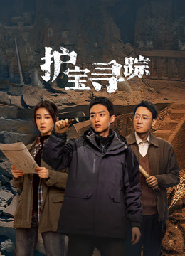 护宝寻踪封面图