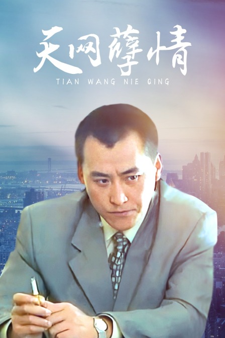 天网孽情封面图