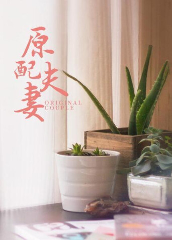 原配夫妻封面图