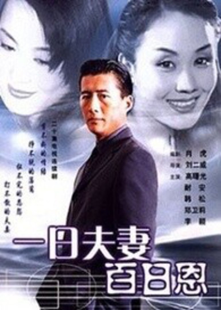 一日夫妻百日恩 高曙光版封面图
