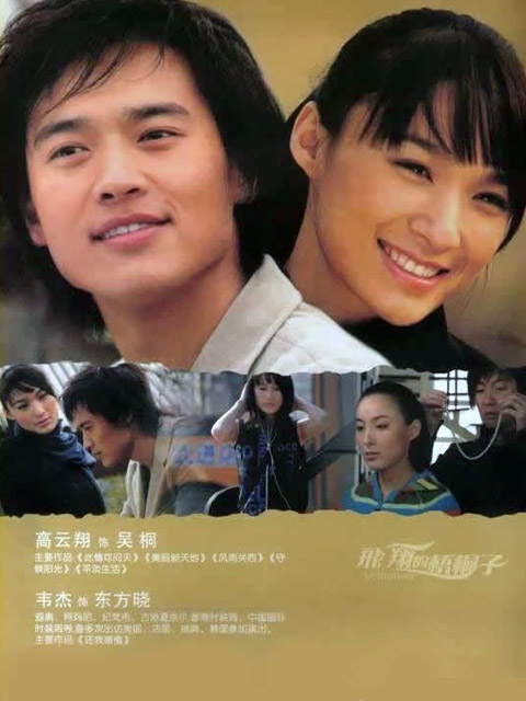 飞翔的梧桐子封面图