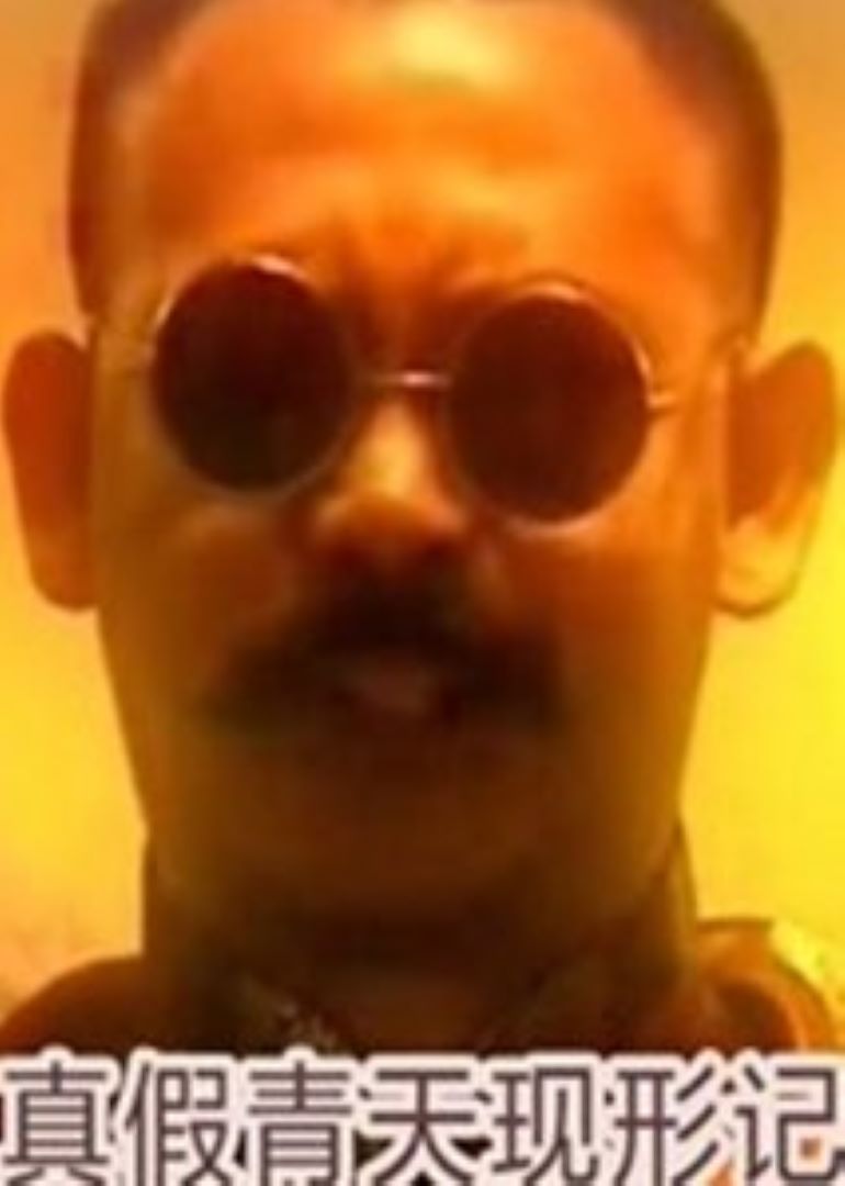 真假青天现形记封面图