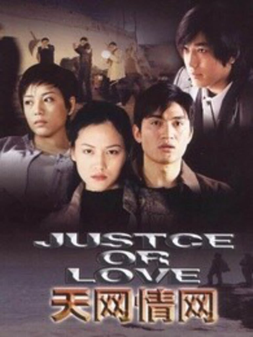 天网情网封面图