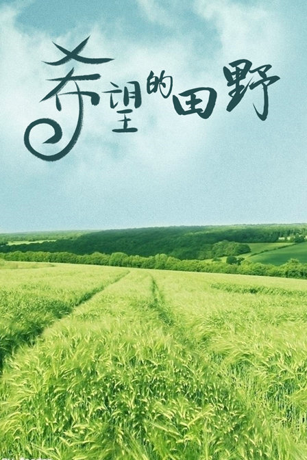 希望的田野封面图