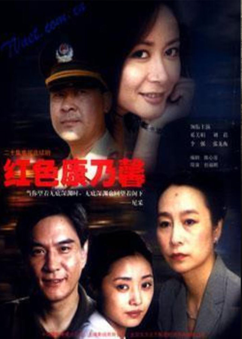 红色康乃馨封面图