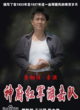 神府红军游击队封面图