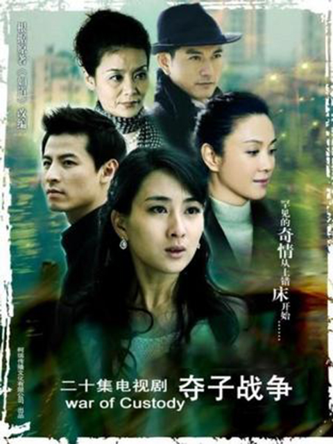 妇道之夺子战争封面图