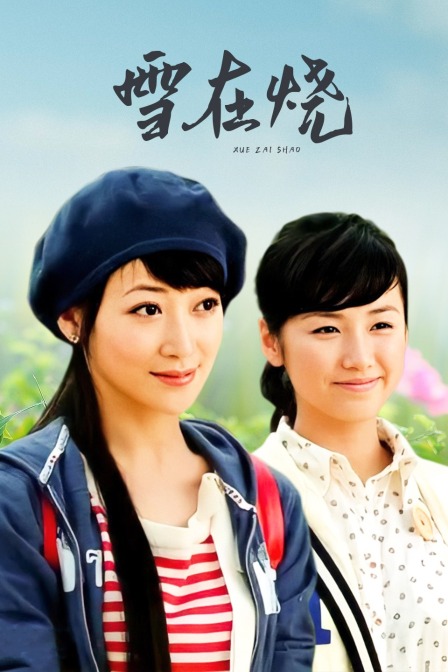 雪在烧封面图