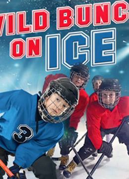 冰上狂欢封面图