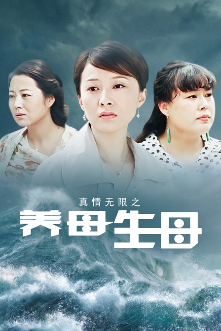 真情无限之养母生母封面图