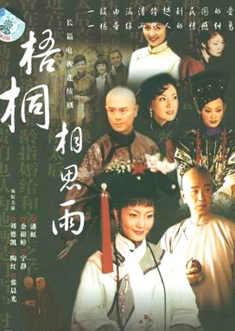 梧桐相思雨封面图