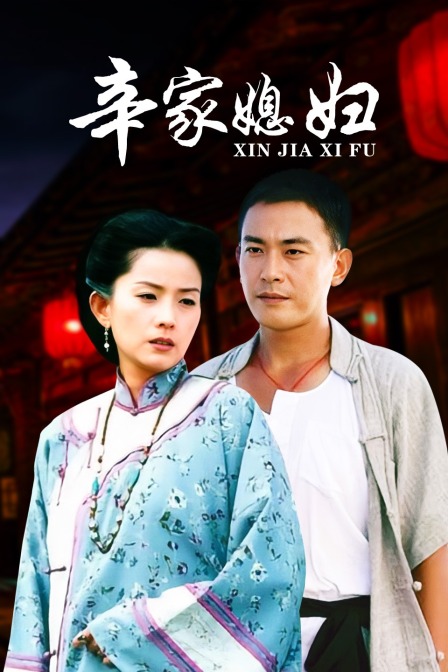 辛家媳妇封面图