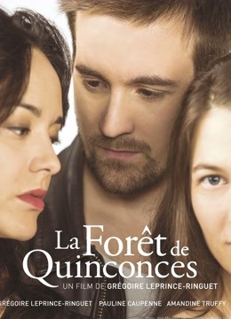 梅花森林封面图