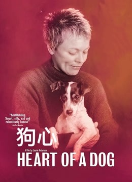 狗心封面图