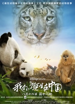 我们诞生在中国封面图