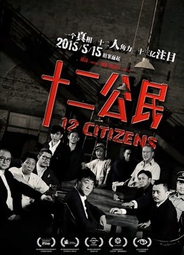 十二公民封面图