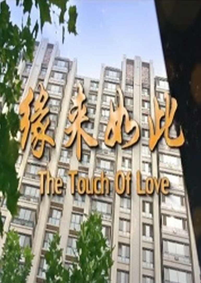 缘来如此封面图