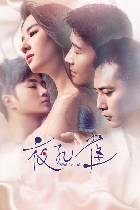夜孔雀封面图