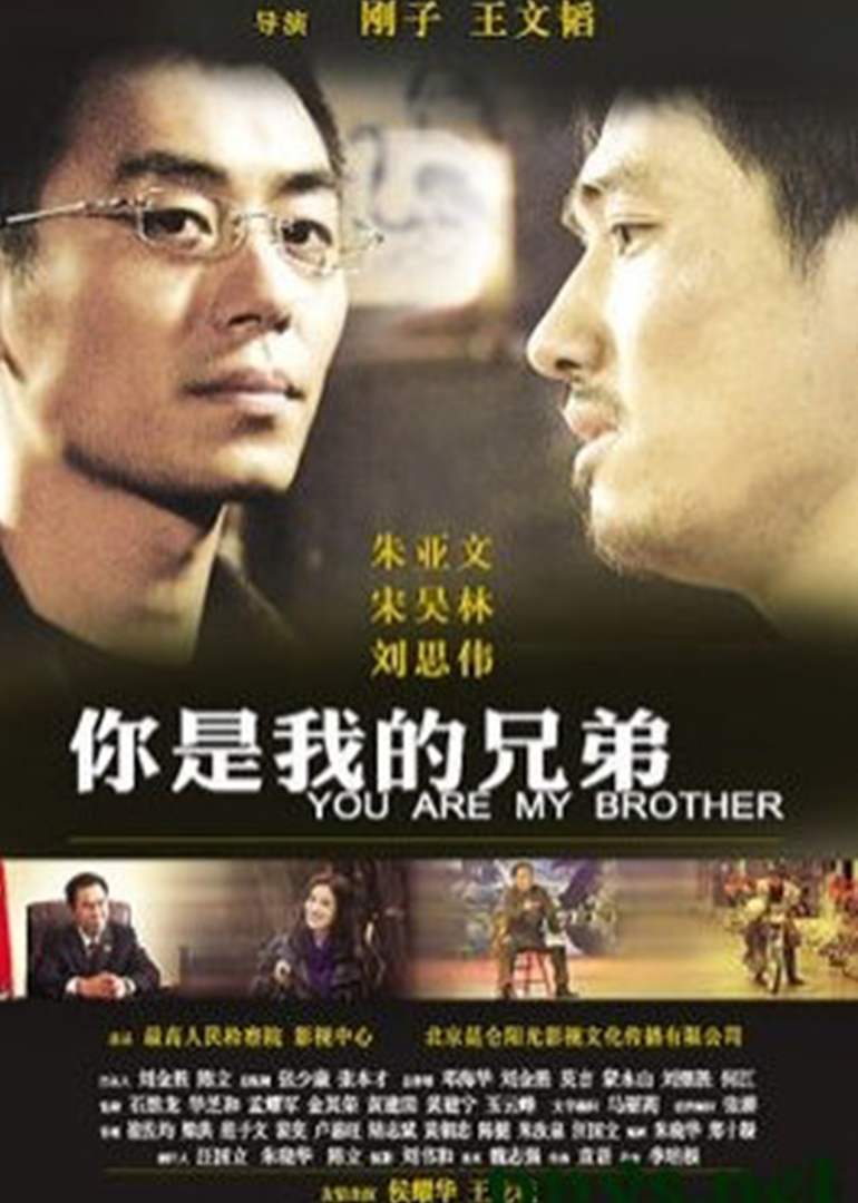 你是我的兄弟封面图