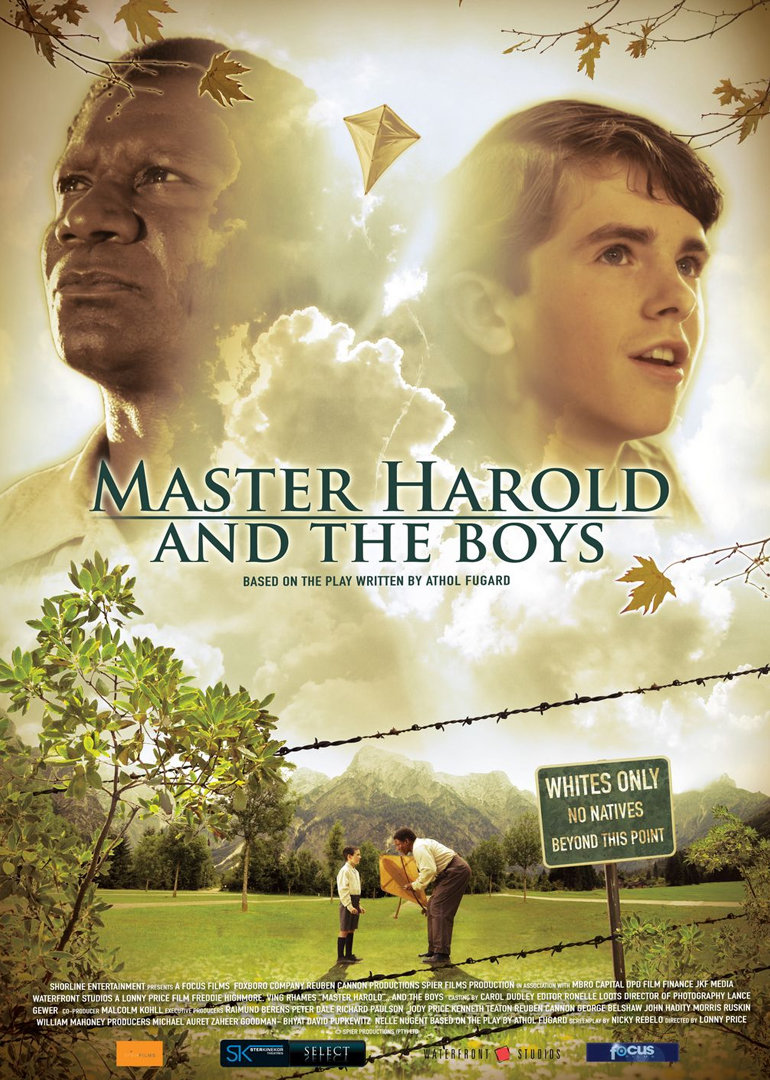 大师哈罗德与男孩封面图