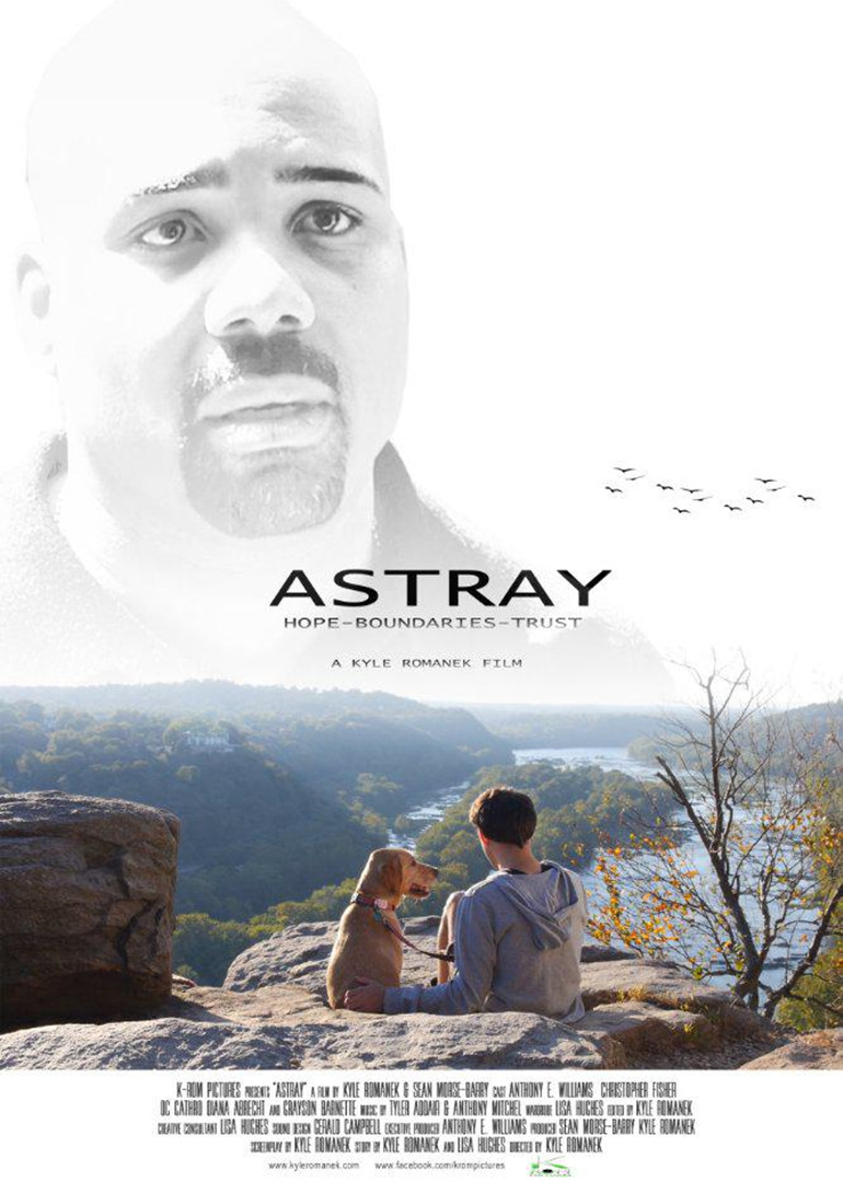 误入歧途封面图