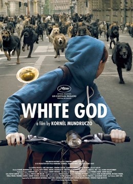 白色上帝封面图