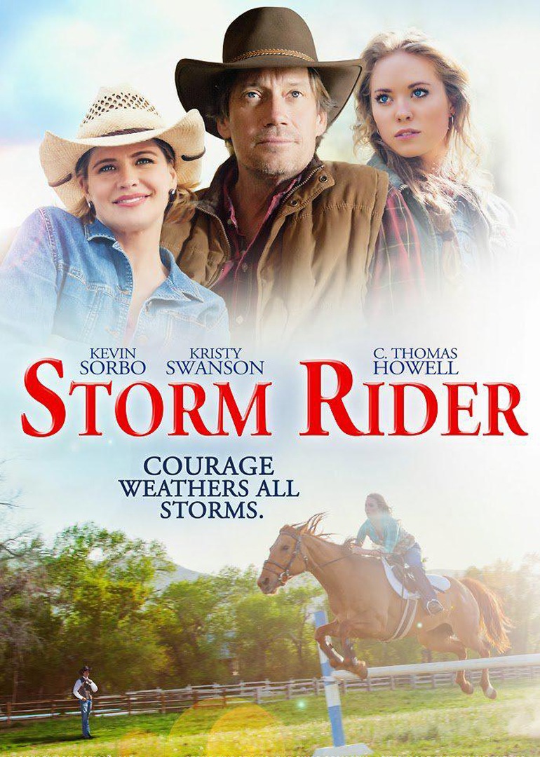 风雨骑手封面图