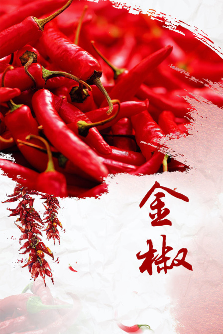 金椒封面图