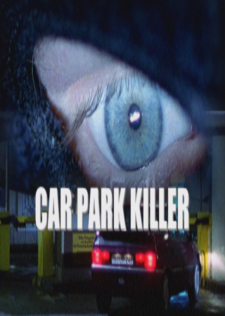 危险停车场封面图