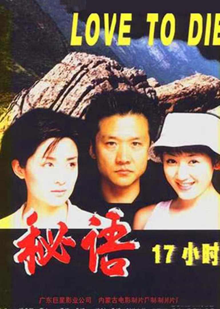 秘语十七小时封面图