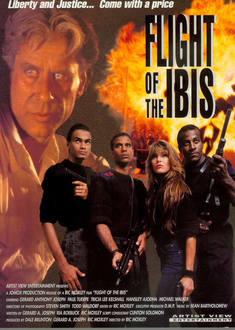 无敌雄鹰封面图