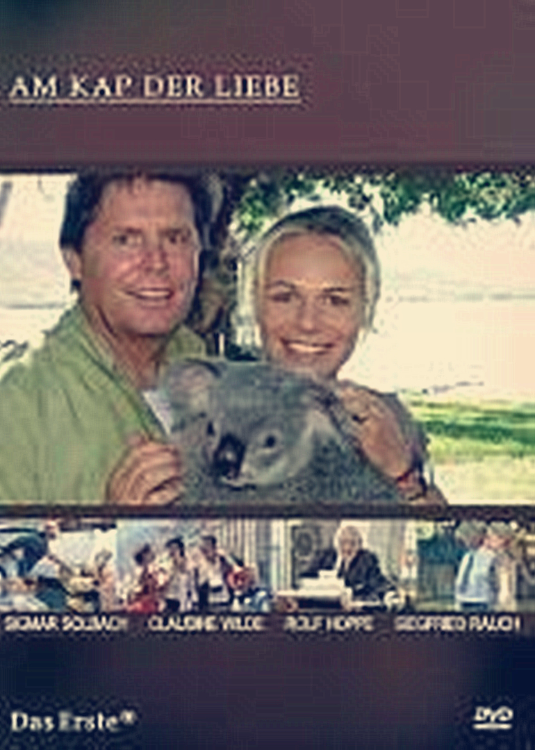 棕榈之风封面图