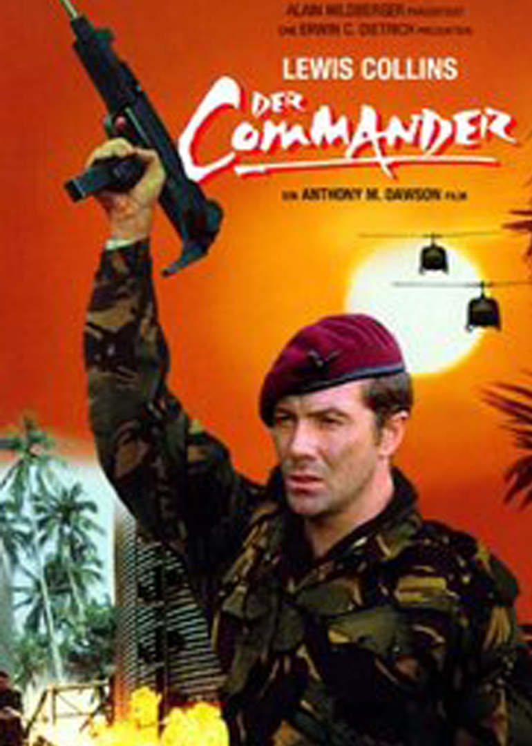 落日余情封面图