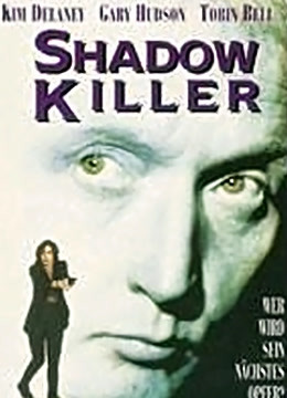 神秘复仇者封面图