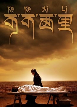 可可西里封面图