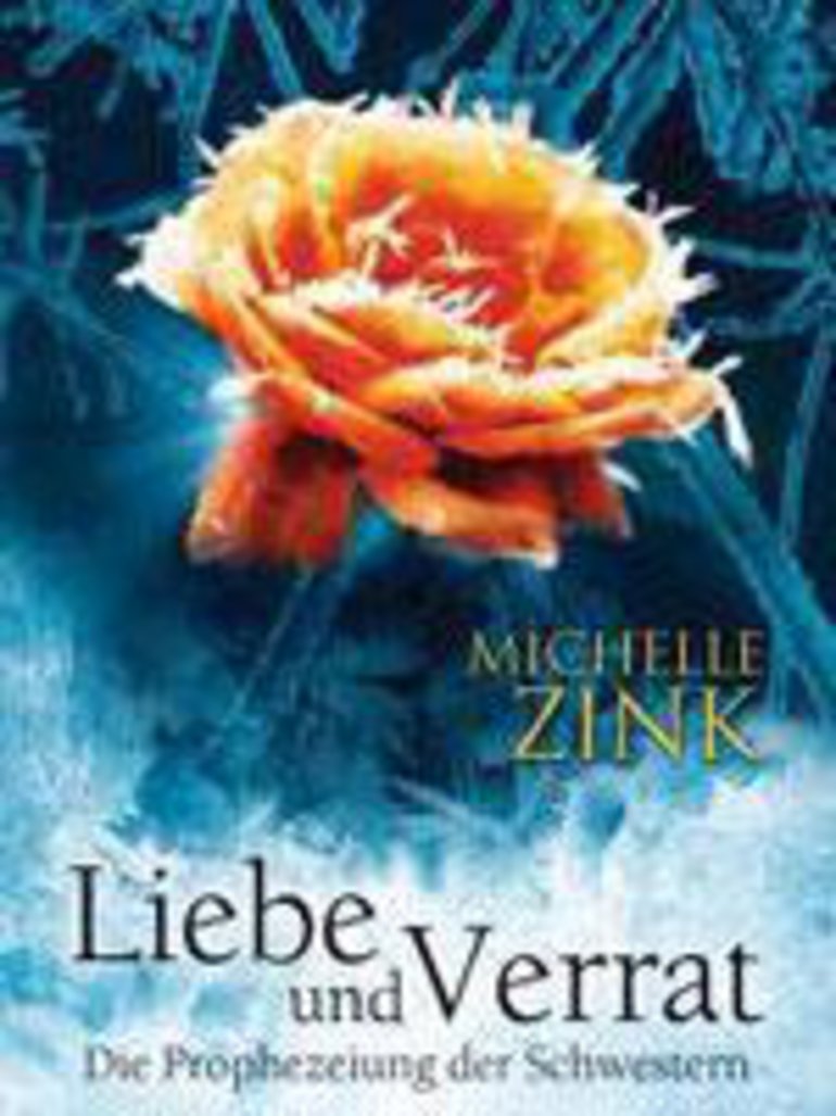 仇恨的代价封面图