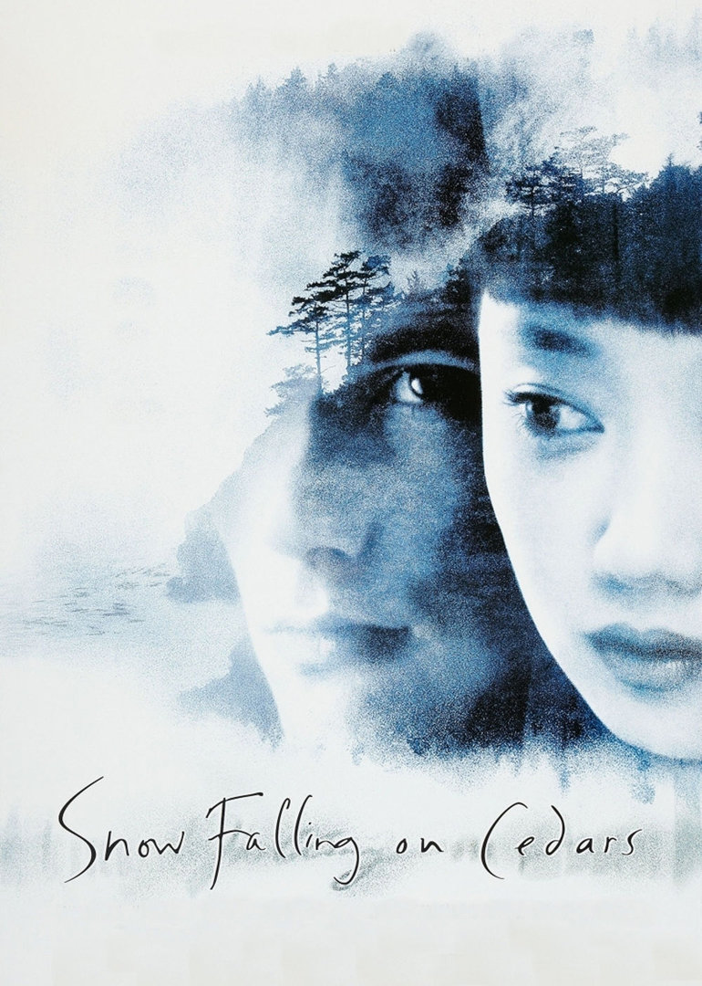 爱在冰雪纷飞时封面图