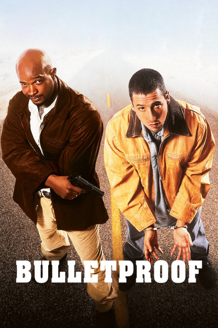 重案行动组封面图