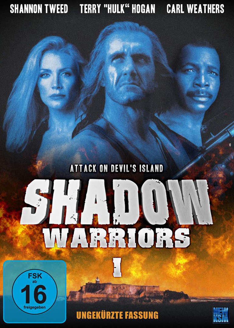 影子勇士  1封面图