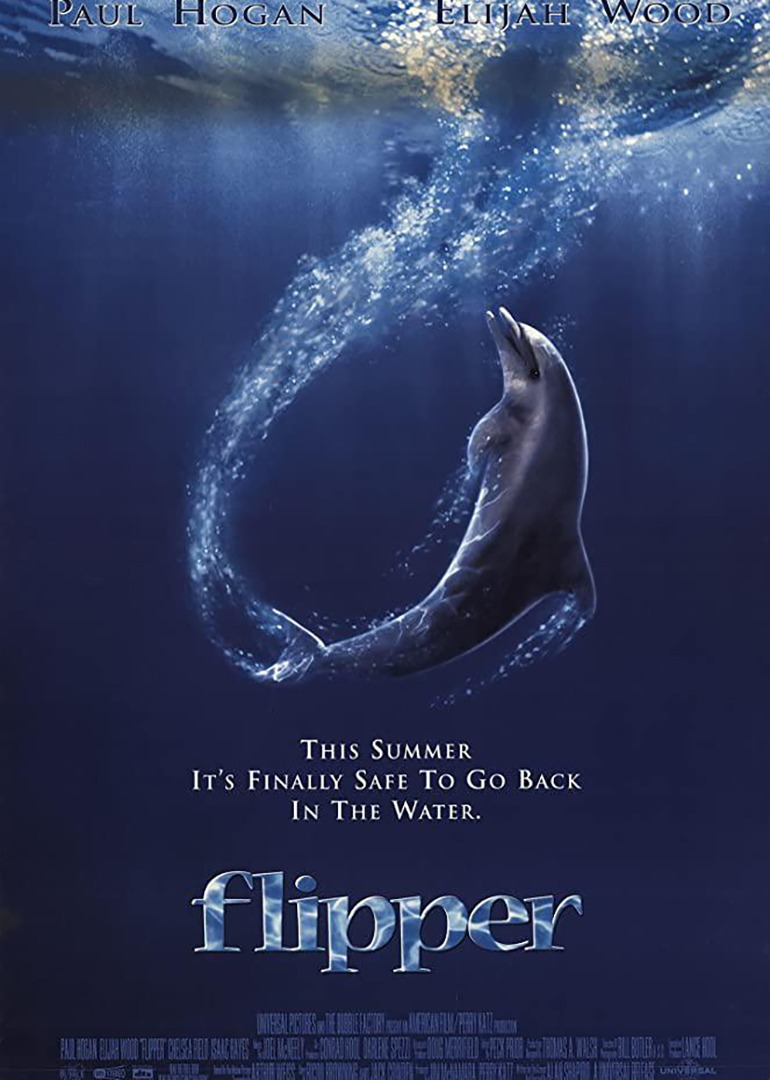 海豚的故事封面图